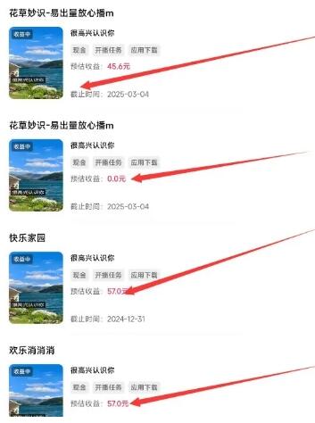 磁力聚星游戏副业陪跑训练营1.0,长期稳定项目,有人一周干了1K+