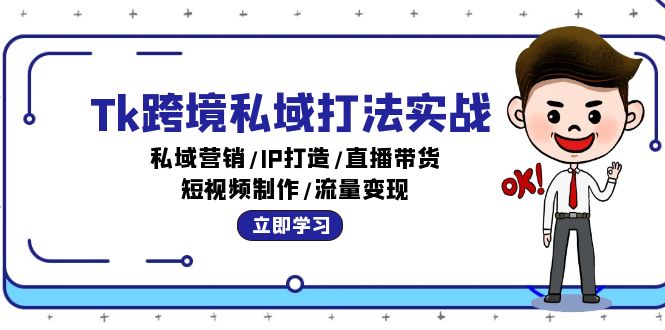 Tk跨境私域营销实战:IP打造与流量变现策略-无双副业