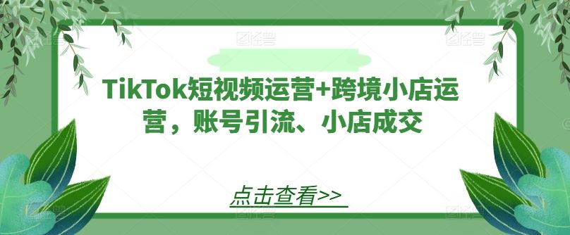 TikTok短视频与跨境小店运营全攻略-无双副业