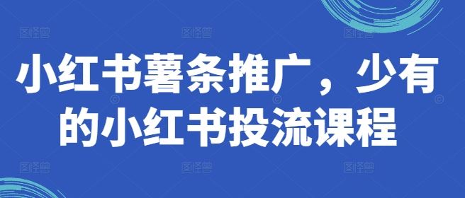 小红书薯条推广课程详解与投放技巧-无双副业
