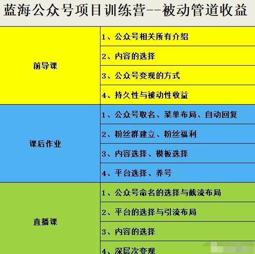 蓝海公众号项目训练营,手把手教你运营公众号和小程序变现-无双副业