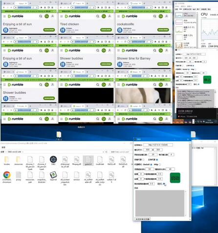 Rumble撸美金项目:单窗口日赚5美金+脚本教程
