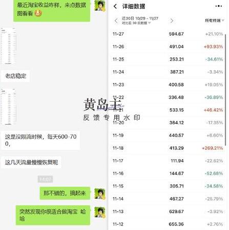 黄岛主《淘宝蓝海虚拟项目陪跑训练营6.0》每天纯利润200到1000+纯实战课