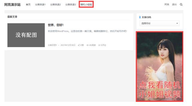 阿亮网创72计第50计:小姐姐随机播放,老斯基站变现必备