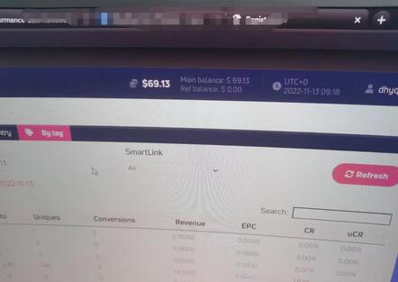 最新国外LEAD广告联盟搬砖项目,单号日赚30美金详细教程