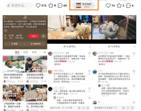 小红书蓝海类赛道:小动物打赏与购买变现副业项目,一条龙玩法分享给你!