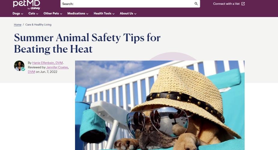 长期稳定玩法,副业每月收益6000+,小红书宠物赛道!