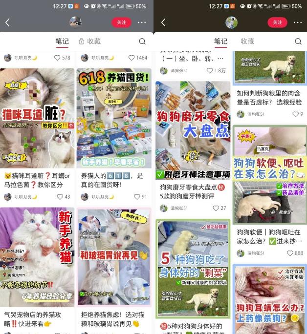 长期稳定玩法,副业每月收益6000+,小红书宠物赛道!