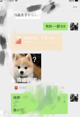 靠短剧私域掘金 月入5W 小白闭眼做(教程+2T资料)