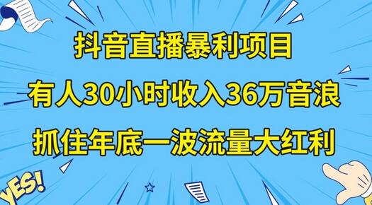 抖音直播暴利项目:30小时收入36万音浪,抓住年底流量红利-无双副业