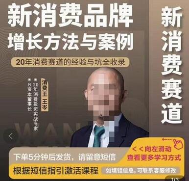 王岑新消费品牌增长方法与实战案例解析-无双副业