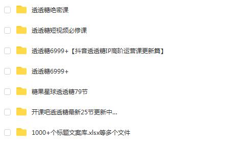 透透糖短视频训练课程:抖音赚钱实战指南