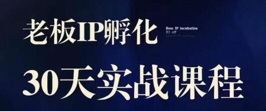 2023老板IP实战课:实体同城引流与IP孵化指南-无双副业