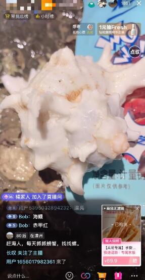 抖音快手赶海无人直播流量庞大效果显著(教程+素材)