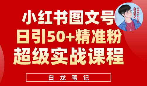 小红书图文号日引50+精准流量,超级实战引流课适合新手-无双副业