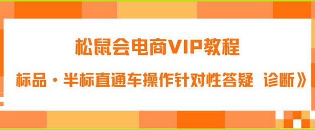 松鼠会电商VIP教程:付费推广标品与半标直通车操作答疑诊断-无双副业