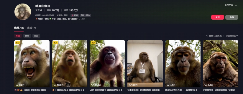 爆款峨眉山猴子短视频制作教程,10w+点赞秘诀