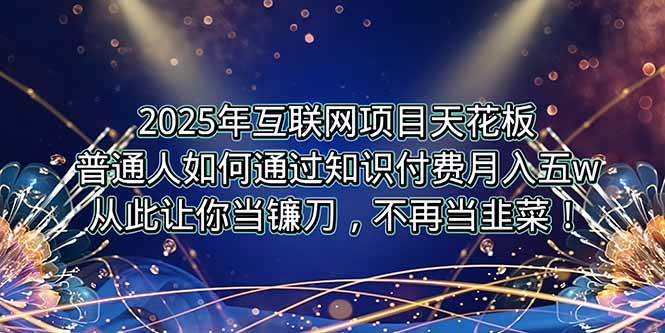 2025年互联网项目新机遇,普通人卖项目实现月入5W+-无双副业