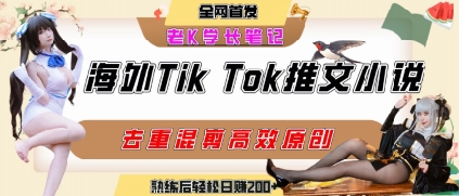 海外TikTok小说推文项目,高转化率轻松赚取收益