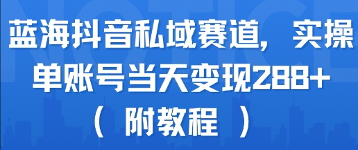 蓝海抖音私域赛道单账号当天变现288元教程-无双副业