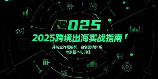 2025跨境出海实战指南:并购流程与营销体系全解析-无双副业