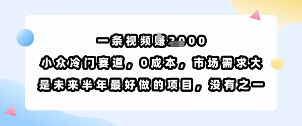 小众冷门赛道一条视频挣1千,0成本市场需求大,未来半年最好做项目-无双副业