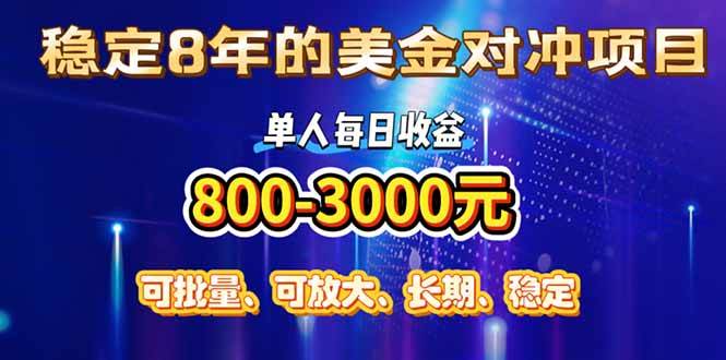 稳定8年的美金对冲创业项目,单人日收益800-3000的小众暴利机会-无双副业