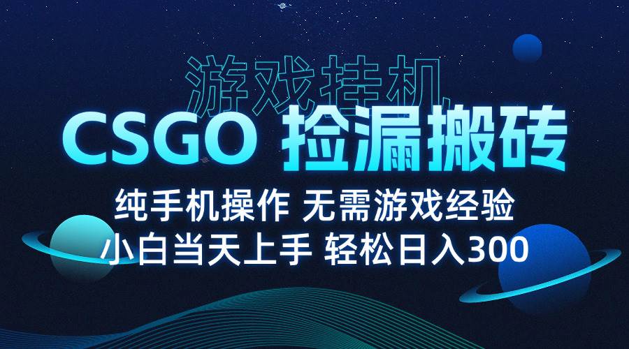 8月最新CSGO游戏搬砖项目,纯挂机无需操作月入过万-无双副业