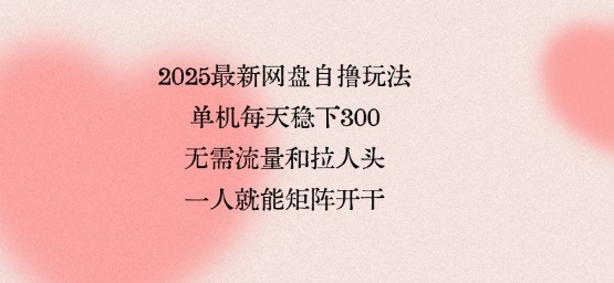 2025网盘自撸玩法单机日赚稳定,无需流量不拉人头轻松矩阵操作-无双副业