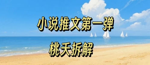 小说推文项目操作全流程,0粉起步门槛低适合新手-无双副业