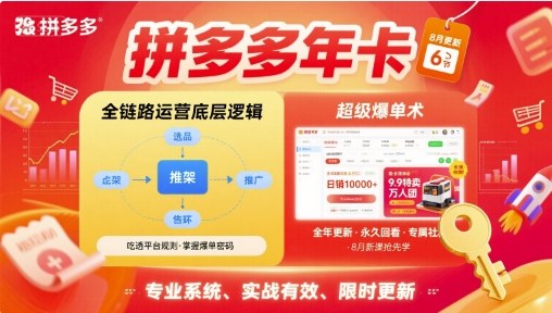 拼多多全链路运营底层逻辑与超级爆单术-无双副业