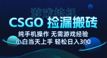 CSGO游戏搬砖项目揭秘:纯挂机月入过万方法-无双副业
