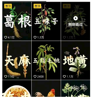 AI制作中草药故事视频在抖音快速涨粉带货