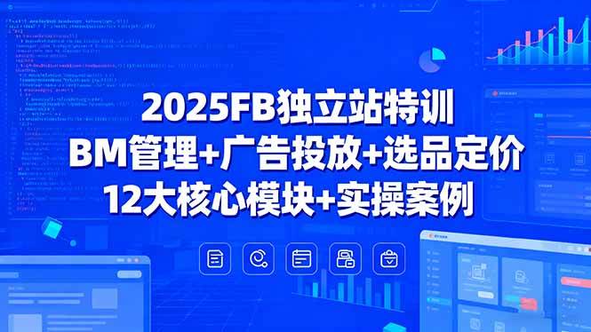 2025年Facebook独立站特训课程:BM管理、广告投放与选品定价-无双副业
