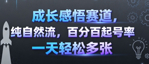 成长感悟赛道高起号率项目 轻松实现日入千元-无双副业