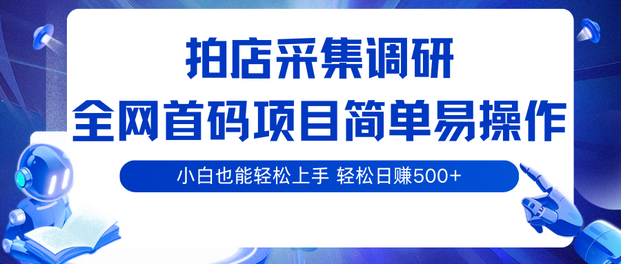 拍店采集调研项目 简单易操作 小白轻松日赚500+-无双副业