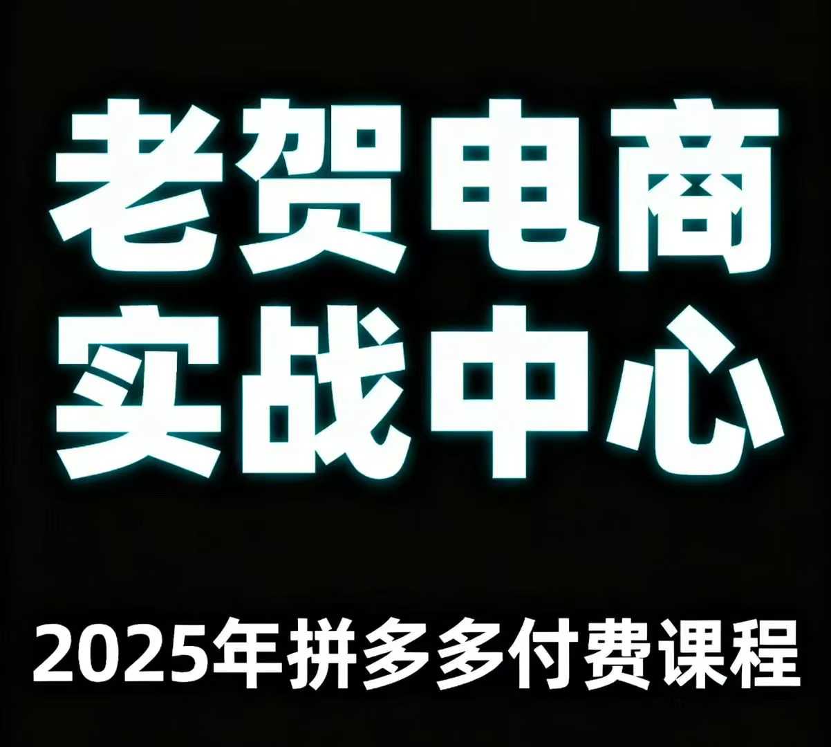 老贺电商拼多多付费课程,通俗易懂教你玩转多多-无双副业