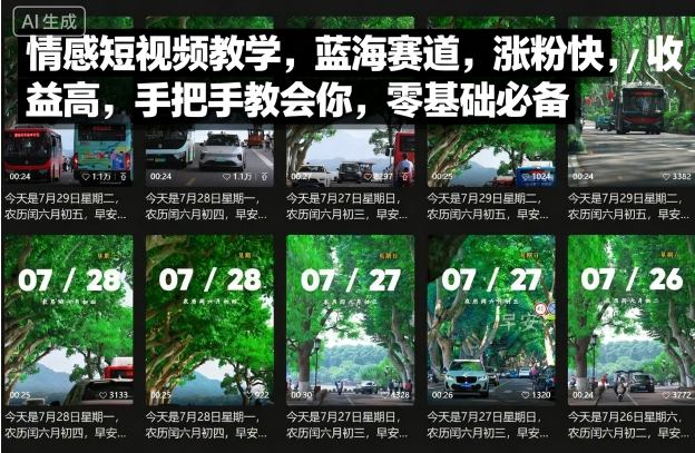情感短视频教学蓝海赛道零基础快速涨粉高收益-无双副业