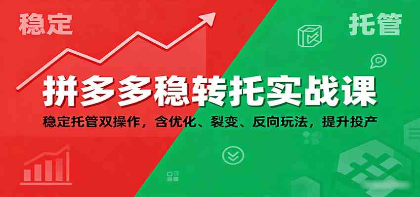 拼多多稳转托实战课:稳定托管双操作提升投产-无双副业