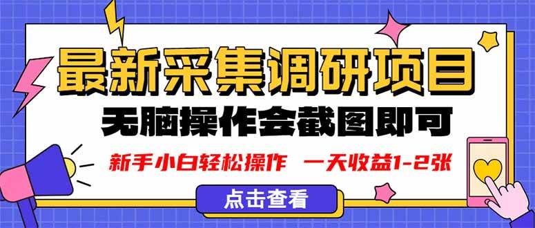 新版采集调研项目截图上传无脑操作日收益1-2张-无双副业