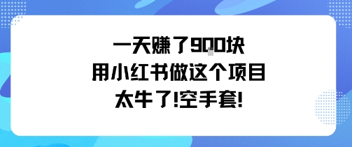 用小红书空手套白狼项目日入900元-无双副业