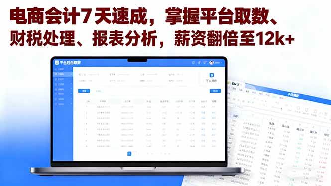 电商会计7天速成掌握平台取数财税处理报表分析薪资翻倍-无双副业