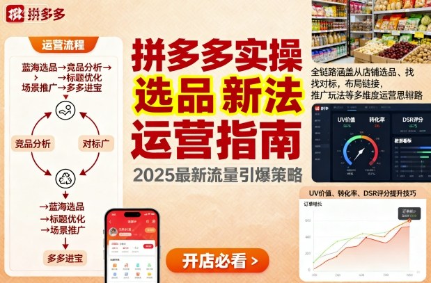 王校长拼多多实操新玩法全链路运营思路-无双副业