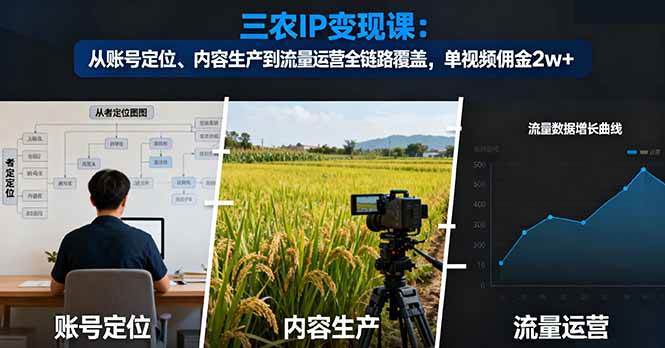 三农IP变现课:账号定位到流量运营全链路覆盖-无双副业