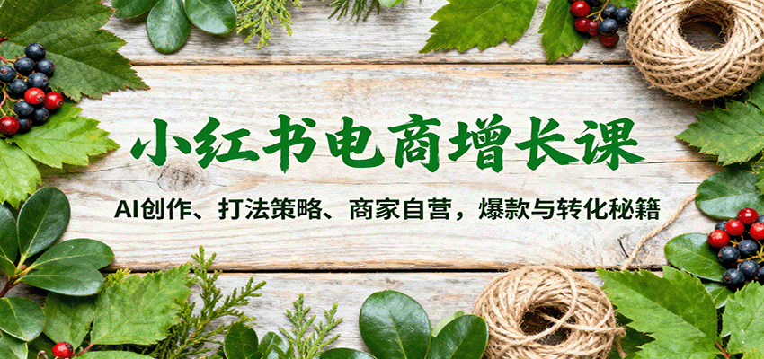 小红书电商增长课:AI创作、打法策略与商家自营秘籍-无双副业