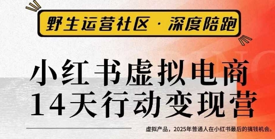 小红书虚拟电商14天变现训练营3.0,2025年普通人最后的赚钱机会-无双副业