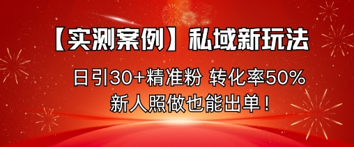 私域新玩法实测案例,日引30+精准粉转化率50%-无双副业