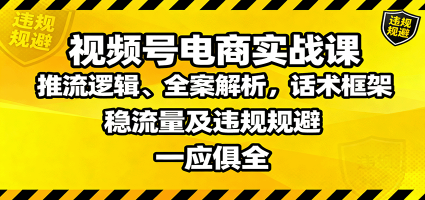 视频号电商实战课:推流逻辑、全案解析与话术框架-无双副业
