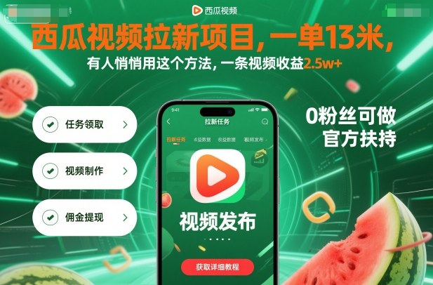 西瓜视频拉新项目一单13米,一条视频收益2.5w+附教程-无双副业