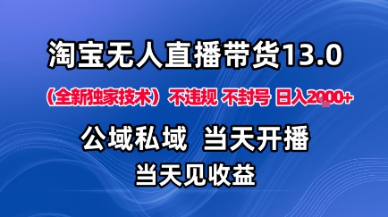 淘宝无人直播13.0公域私域技术不封号不违规布局下半年旺季赛道日入1K+-无双副业